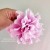 Cold Porcelain Hibiscus Flower